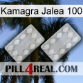 Kamagra Jelly 100 17